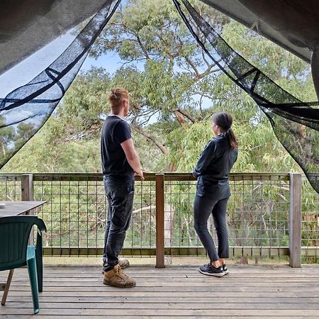 Lorne Bush House Cottages & Eco Retreats Exterior photo