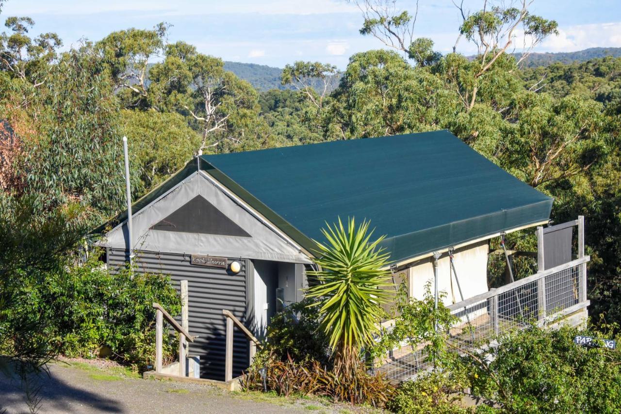 Lorne Bush House Cottages & Eco Retreats Exterior photo