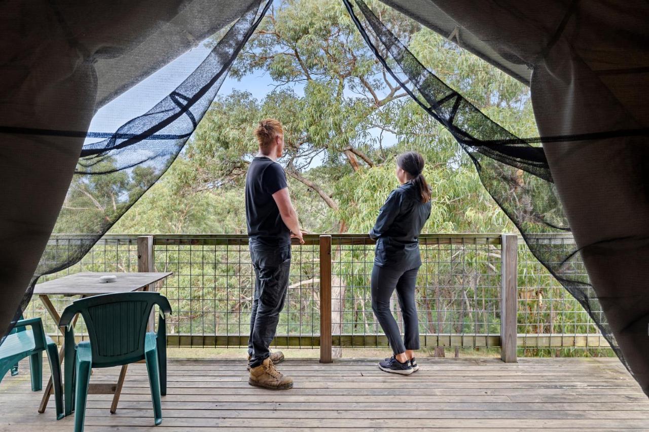 Lorne Bush House Cottages & Eco Retreats Exterior photo